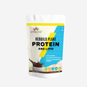 Rebuild Plant Protein and Lipid Chocolate